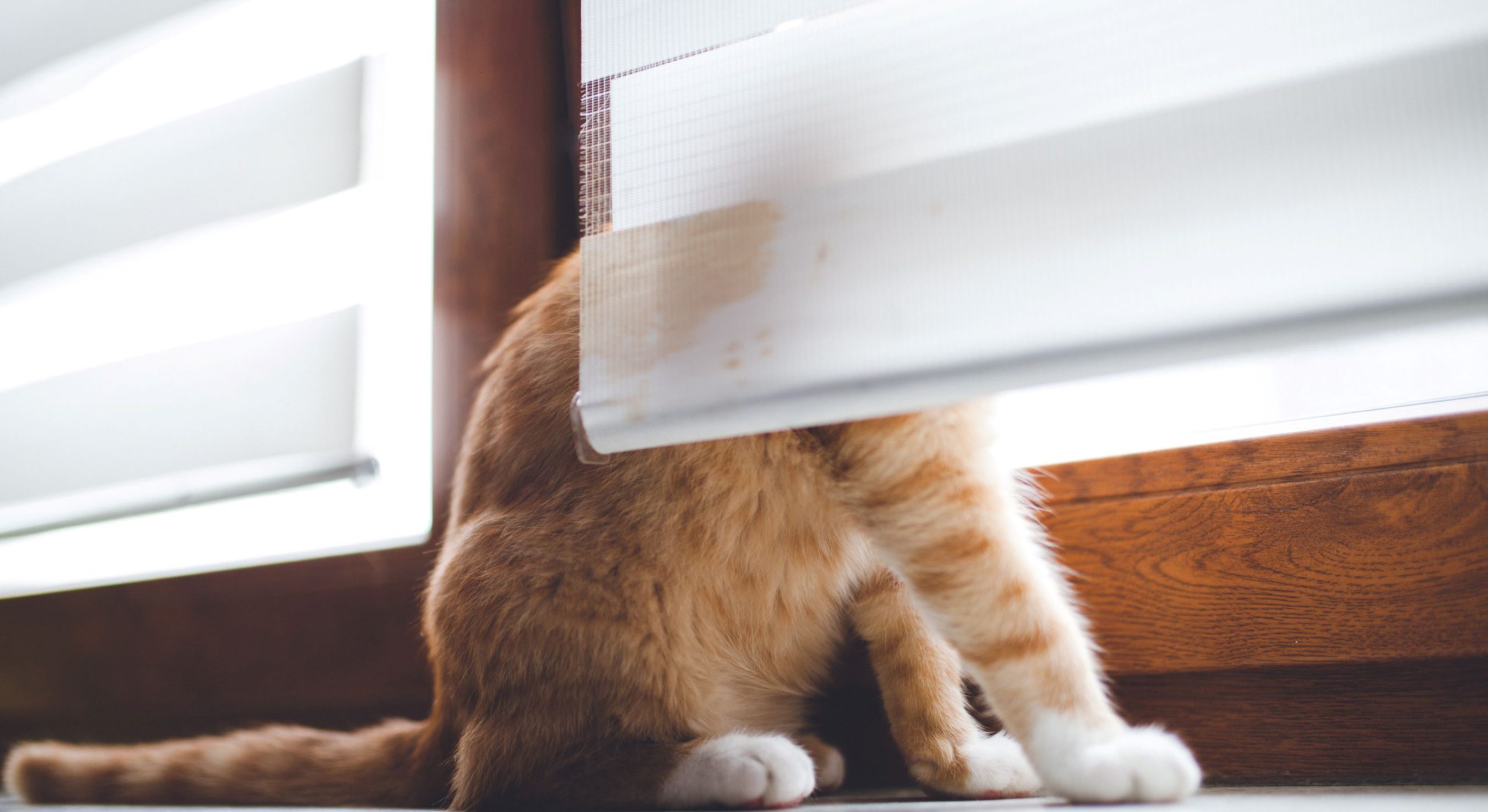 Window Treatments Ontario Covers Canada