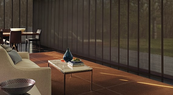 Skyline Blinds