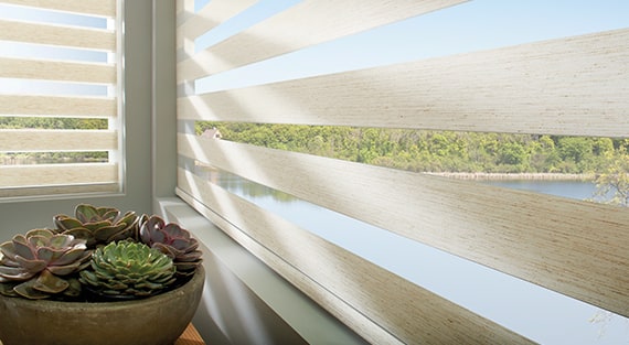 Designer Banded Shades