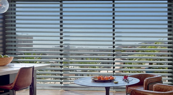 Pirouette Blinds