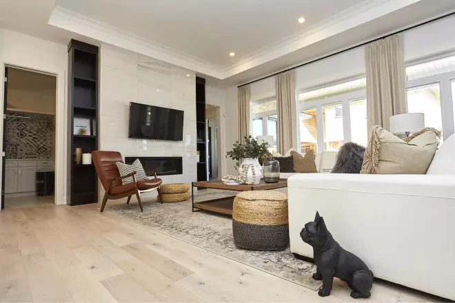 Picture of Fancy Living Room