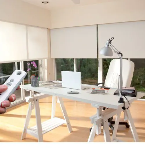 Somfy Motorization